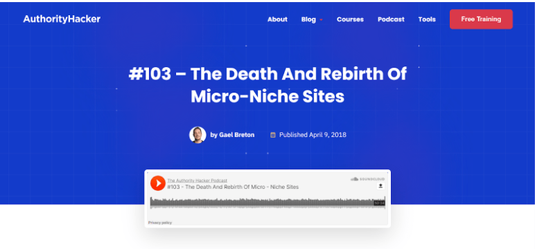 #103 - The Death And Rebirth Of Micro - Niche Sites